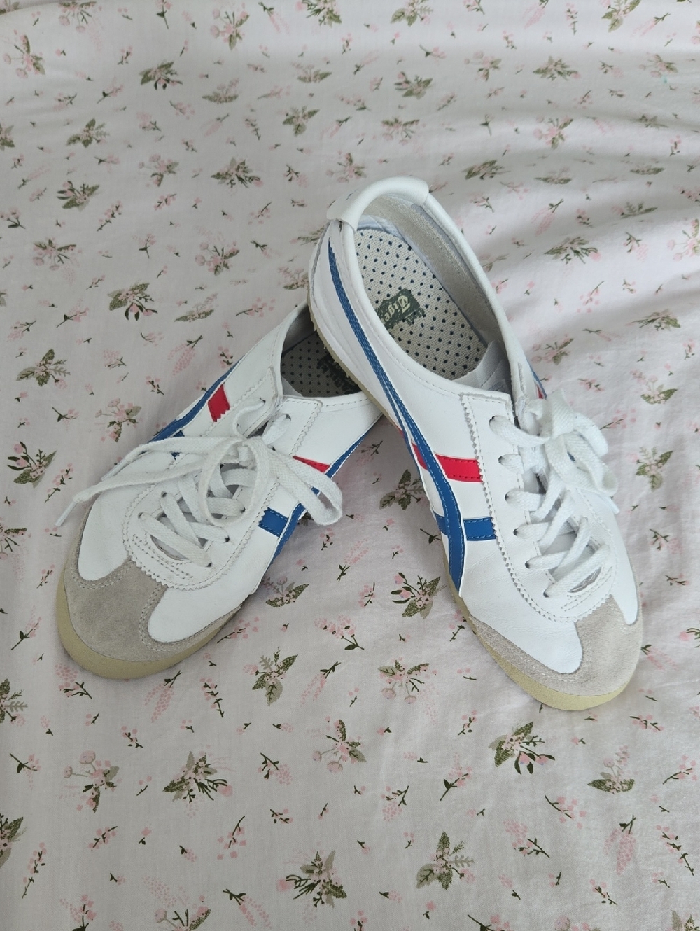 White Sneakers with Blue and Red Stripes